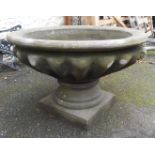 A 3' 2" diameter precast concrete two part garden urn set on a pedestal and plinth base