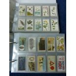 FOURTEEN FULL SETS OF LOOSE CIGARETTE CARDS, including Players Cricketers (in two glassine albums)