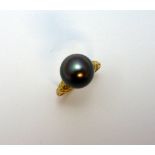 A TAHITIAN PEARL RING, the single pearl on a plain tapered band, stamped 750, ring size L 1/2