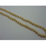 A STRAND OF CULTURED PEARLS, with 9ct gold clasp