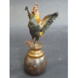 FRANZ BERGMAN (ATTRIBUTED), a cold painted bronze figure of a cockerel, modelled standing with wings