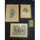 MARGARET TARRAN, 1970's, three botanical studies, watercolour, together with a silk painted study of