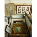 VARIOUS PICTURES, including watercolours, embroidery, butterflies etc