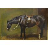 JOHN EMMS, Dispatch Horse, oil on canvas, signed lower right, dated 1905, 50cm x 60cm