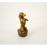 AN AUSTRIAN COLD PAINTED BRONZE OF A BEGGING DASHCHUND, mounted as a light pull, height