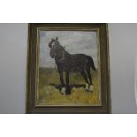 20TH CENTURY SCHOOL, Shire Horse in a field, oil on canvas, 49cm x 38cm