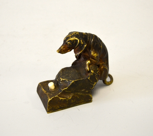 AN AUSTRIAN BRONZE BELL PUSH, modelled as a Dachshund climbing onto rocks, height approximately 9cm