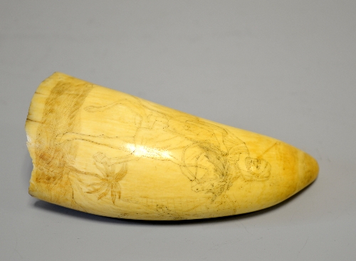 SCRIMSHAW, a Whale tooth carved with a figure on horseback, before a palm tree and a maiden,