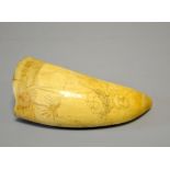 SCRIMSHAW, a Whale tooth carved with a figure on horseback, before a palm tree and a maiden,