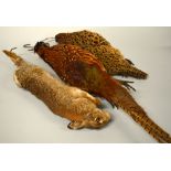 TAXIDERMY PAIR OF HANGING COCK AND HEN PHEASANTS, with a hanging rabbit, length of pheasants