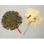 A PEACOCK FEATHER HAND FAN, together with an Ostrich feather example (2)