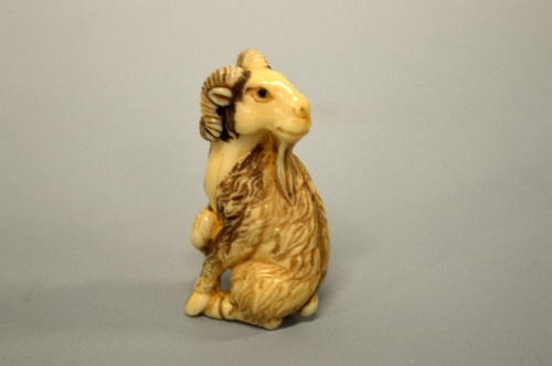A JAPANESE IVORY NETSUKE, carved in the form of a Mountain Goat, signed to base