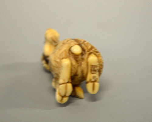 A JAPANESE IVORY NETSUKE, carved in the form of a Mountain Goat, signed to base - Image 3 of 3