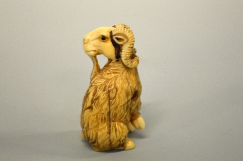 A JAPANESE IVORY NETSUKE, carved in the form of a Mountain Goat, signed to base - Image 2 of 3