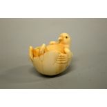 A JAPANESE IVORY NETSUKE, carved in the form of a bird relaxing in an egg, signed to base