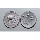 Julius Caesar AR Denarius