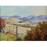 Gerald Walby - SHEEP GRAZING IN THE MOURNES - Oil on Canvas - 18 x 24 inches - Signed