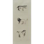 Deborah Young - PRIDE - Limited Edition Black & White Lithograph (1/10) - 15 x 6 inches - Signed