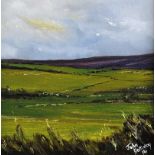 John Halliday - OVER LOW FIELDS - Oil on Board - 12 x 12 inches - Signed