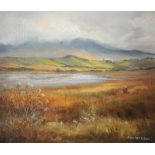 Jean Harrison - LAURA, DUNFANAGHY, DONEGAL - Oil on Canvas - 10 x 12 inches - Signed