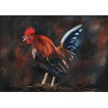 Michael Smyth - COCKEREL - Oil on Canvas - 20 x 28 inches - Signed
