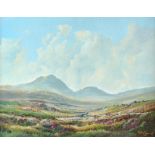 Robert B. Higgins - THE BLUE STACK MOUNTAINS, DONEGAL - Oil on Canvas - 12 x 16 inches - Signed