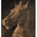 John Luke, RUA - PANTHEON HORSE - Charcoal on Paper - 20 x 18 inches - Signed