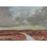 Liam Blake - PATH THROUGH THE BOGLANDS - Oil on Board - 12 x 16 inches - Signed