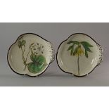 A pair of Botanical subject creamware dishes, early 19th century, entitled to the back Large
