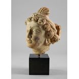 A Gandharan stucco head of a Buddha, Afghanistan c. 4th-5th century A.D. finely modelled in the