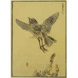 Kono Bairei, Japanese 1844-1895- Bird taking off; hand-coloured woodblock,