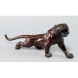 A Japanese bronze tiger, Meiji, modelled roaring, with glass eyes, signed to underside, 31.5cm long.