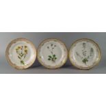 A set of ten Royal Copenhagen Flora Danica small pates, 20th century, each painted with flowers