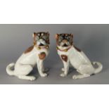 A pair of Dresden porcelain pugs, 20th century, each modelled seated, with brown furry faces,