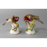 A pair of Bow models of birds, circa. 1760-1770, modelled perching on floral stumps, 9.5cm high (