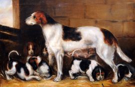 Circle of THOMAS W. BRETLAND (1802-1874) British
Sir Thomas Mostyn's Famous Foxhound Bitch Lady (