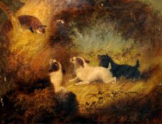 Attributed to EDWARD ARMFIELD (1817-1896) British
Fox Goading Terriers
Oil on canvas
52.5 x 42.5 cm,