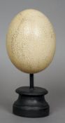 An ostrich egg
Of typical form, mounted on a wooden display stand.  25 cm high. CONDITION REPORTS:
