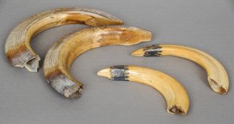 A pair of unmarked white metal mounted boar's tusks
Of typical form; together with two unmounted