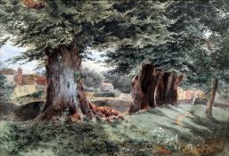 G. WILSON (19th century) British
Four Oaks
Watercolour
Signed and dated 1879
44 c 30.5 cm, framed
