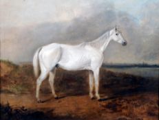 EDWARD ROBERT SMYTHE (1810-1899) British
Grey Stallion by the River Orwell
Oil on canvas
Signed
62 x