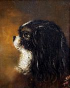 ENGLISH SCHOOL (19th century) 
Portrait of a King Charles Spaniel
Oil on canvas
Signed with initials