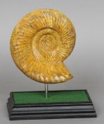 An ammonite specimen
Of typical form, mounted on a display stand.  13 cm wide. CONDITION REPORTS: