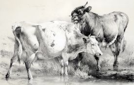 After THOMAS SYDNEY COOPER (1803-1902) British
Plate XX, probably from Cattle Groups from Nature