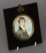 A 19th century portrait miniature on ivory 
Depicting a young gentleman wearing a blue jacket,