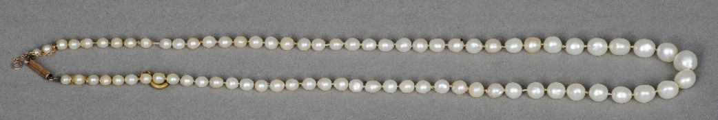 A single strand pearl necklace
The clasp stamped 9ct.  49 cm long overall. CONDITION REPORTS: