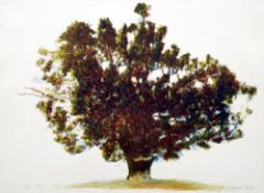 *AR BERNARD CHEESE (1925-2013) British
Oak Tree
Limited edition print
Signed, titled, numbered 27/50
