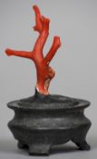A small red coral branch
On a turned wooden display stand.  10 cm high. CONDITION REPORTS: Some