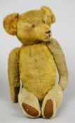 An early plush covered teddy bear
With humped back and internal growler.  50 cm high. CONDITION