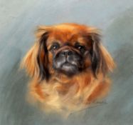 *AR PERSIS KIRMSE (1884-1955) British
Pekinese
Pastel
Signed
26.5 x 25.5 cm, framed and glazed